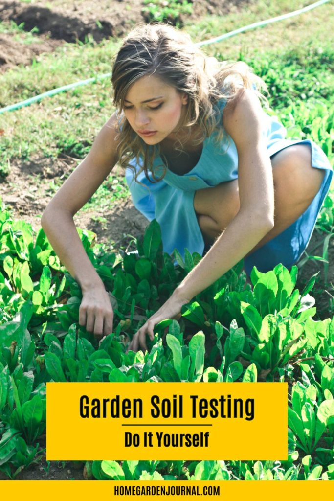 home garden soil test