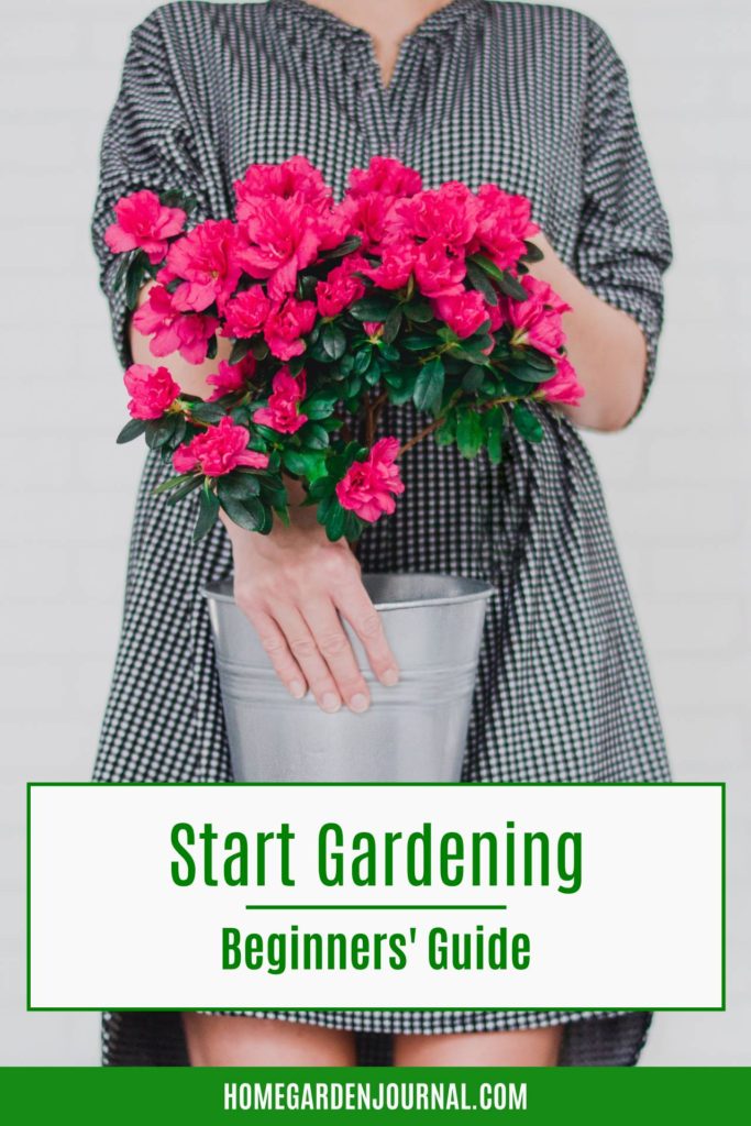 start gardening