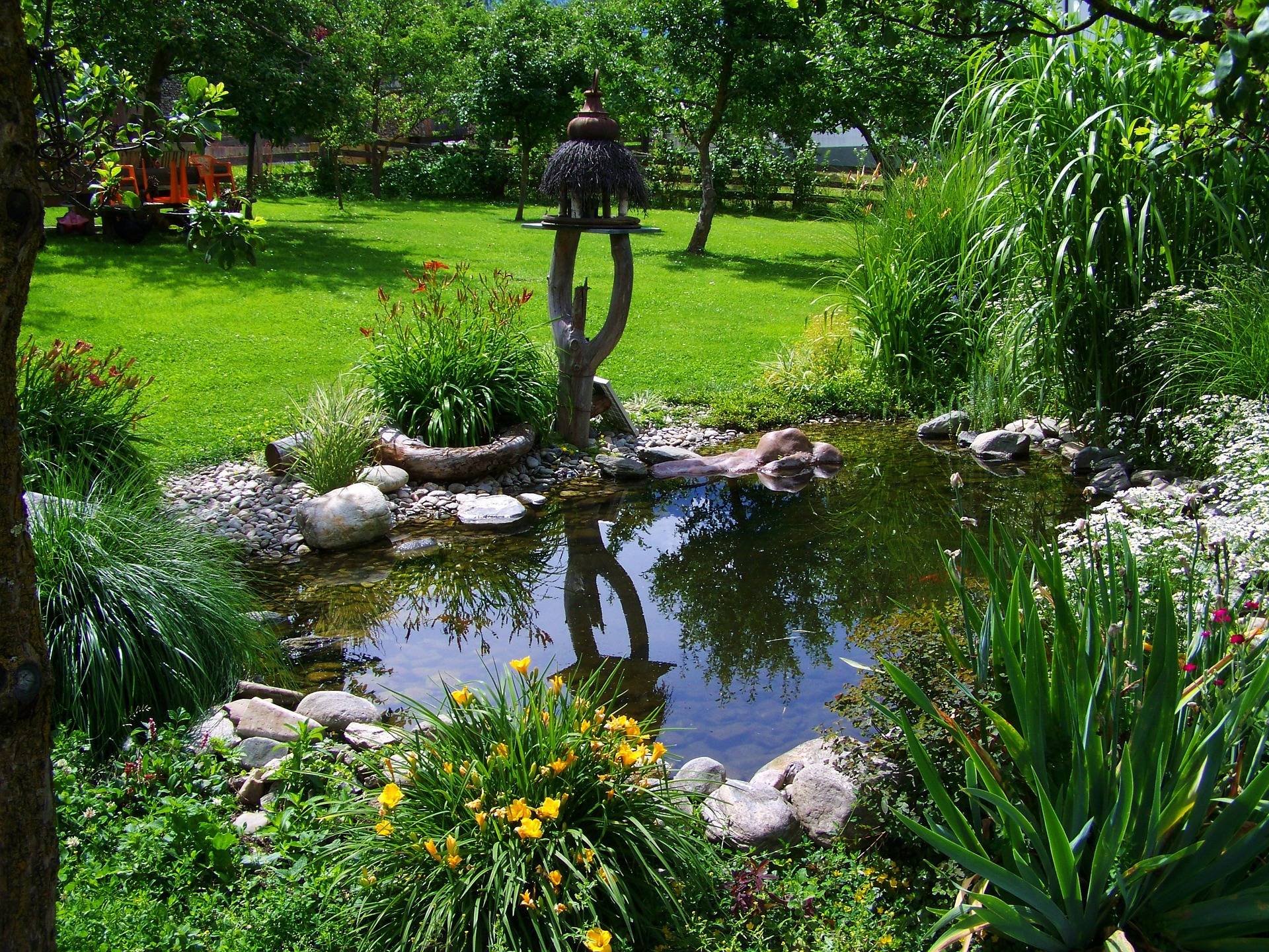 home garden pond