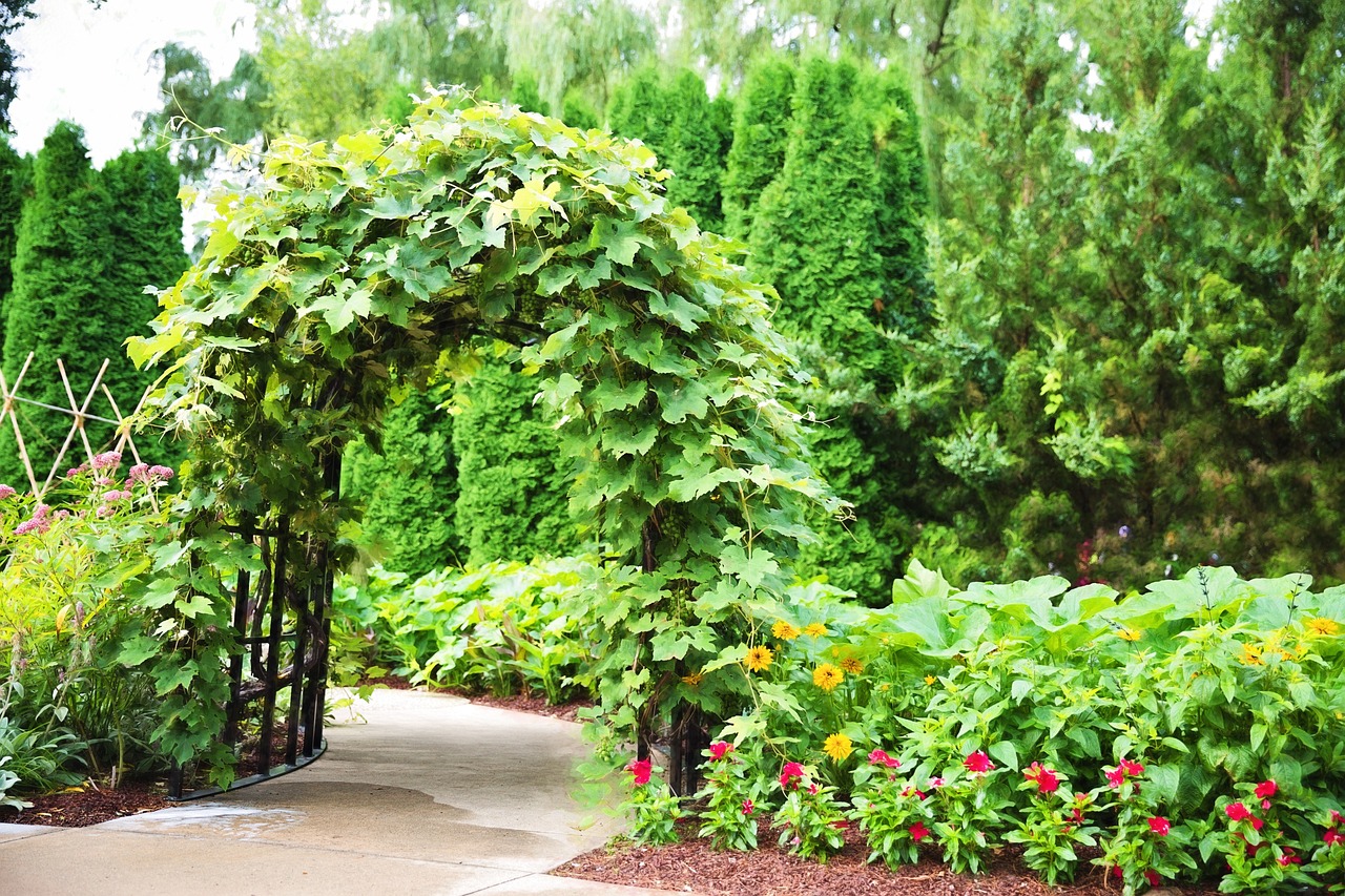 trellis garden