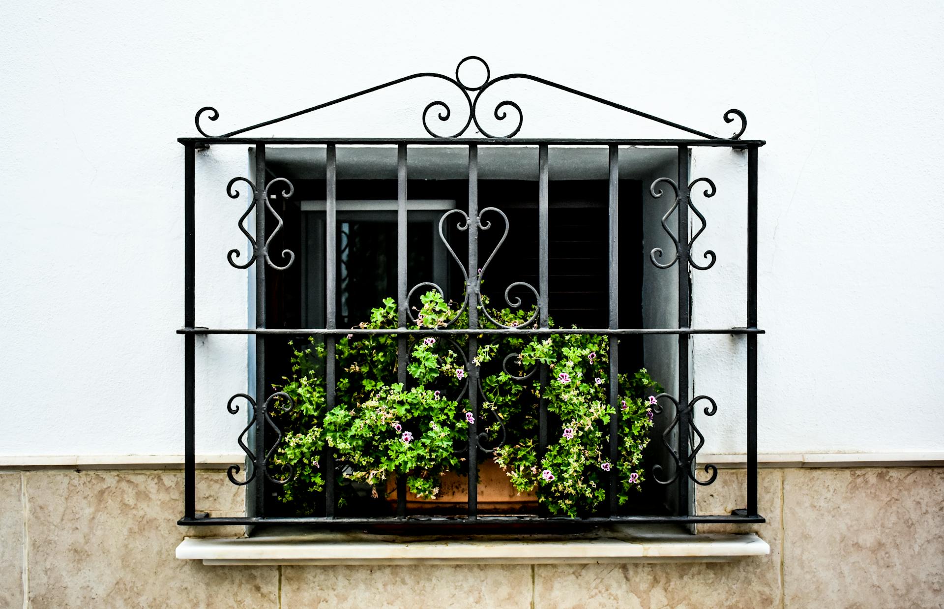 windowsill garden